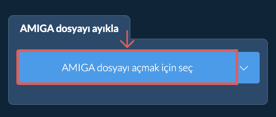 AMIGA dosyayı ayıkla