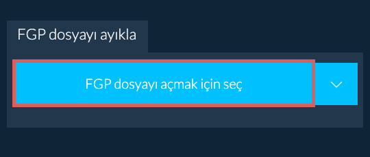FGP dosyayı ayıkla