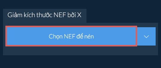 Giảm kích thước NEF bởi X