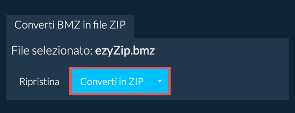 Fare clic qui per avviare la conversione