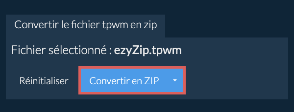 Démarrer la conversion en zip