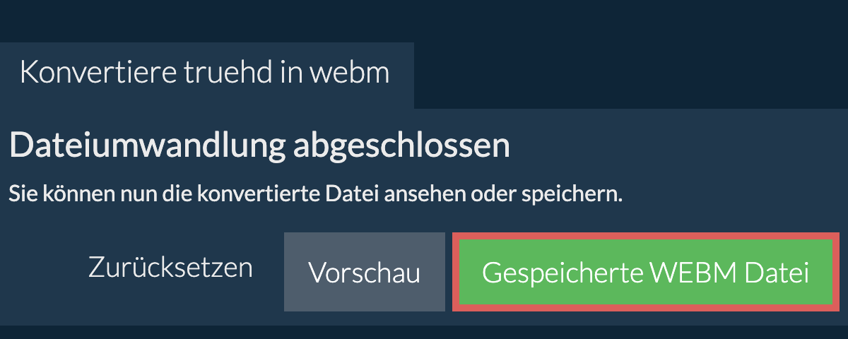 In WEBM konvertieren