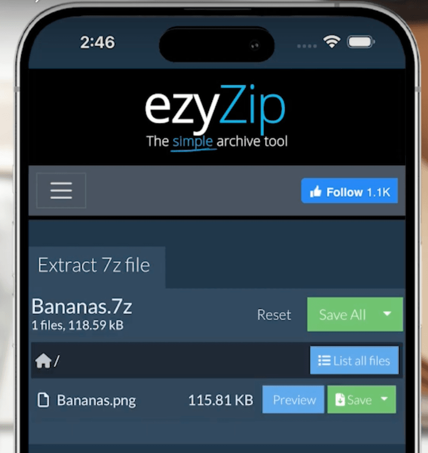 Save or Preview extracted files