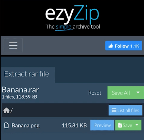 Save or Preview extracted files