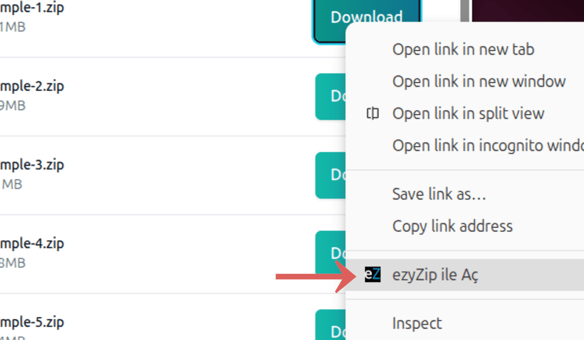 Sağ tıklama menüsünden Extract with ezyZip