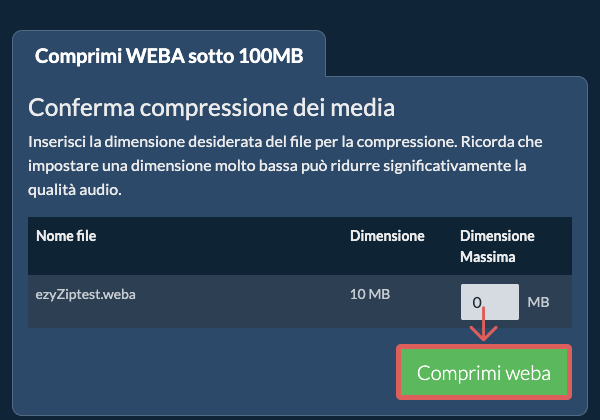 Converti in 100MB