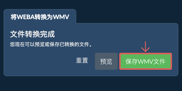 保存WMV文件 转换为WMV文件