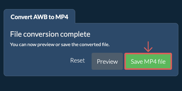 Convert to MP4