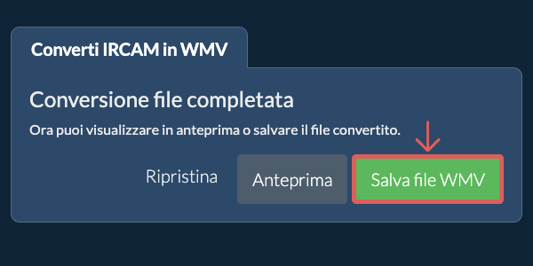 Converti in WMV
