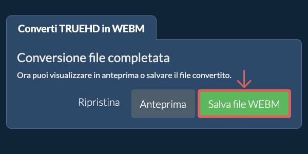 Salva file WEBM Converti in WEBM