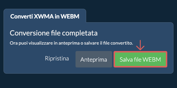 Converti in WEBM