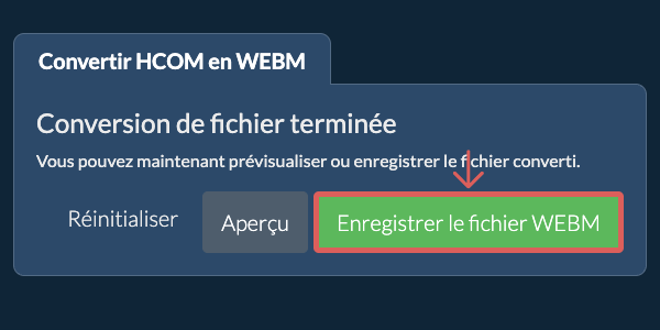Enregistrer le fichier WEBM Convertir en WEBM
