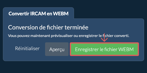 Enregistrer le fichier WEBM Convertir en WEBM