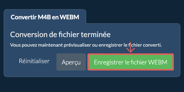Enregistrer le fichier WEBM Convertir en WEBM