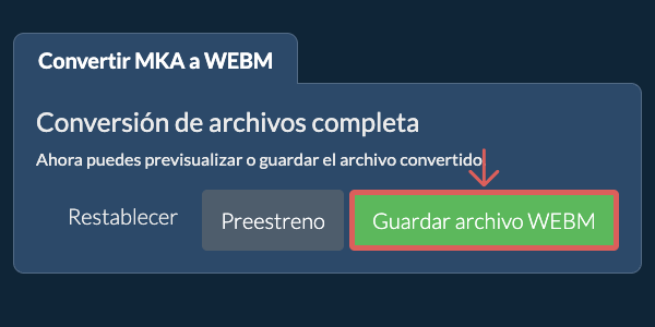 Guardar archivo WEBM Convertir a WEBM