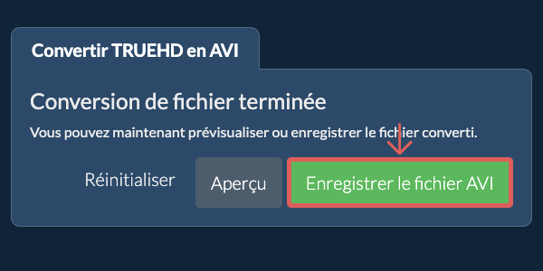 Enregistrer le fichier AVI Convertir en AVI