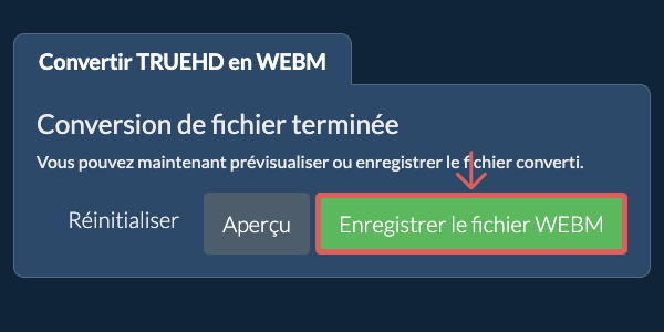 Enregistrer le fichier WEBM Convertir en WEBM