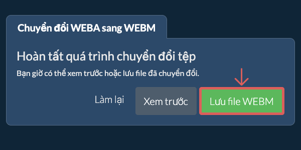 Lưu file WEBM Chuyển đổi thành WEBM