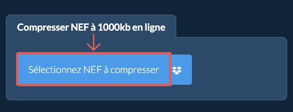 Compresser NEF à 1000kb en ligne