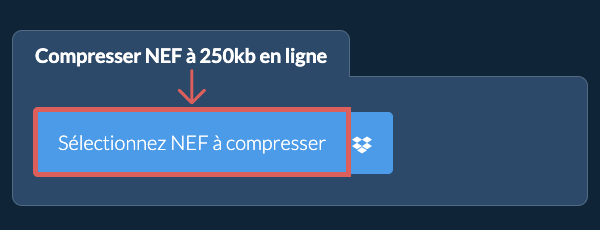Compresser NEF à 250kb en ligne