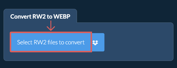 Convert RW2 to WEBP