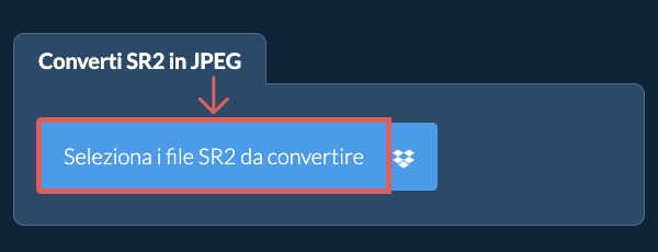 Converti SR2 in JPEG