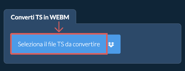 Converti TS in WEBM