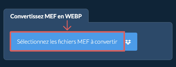 Convertissez MEF en WEBP