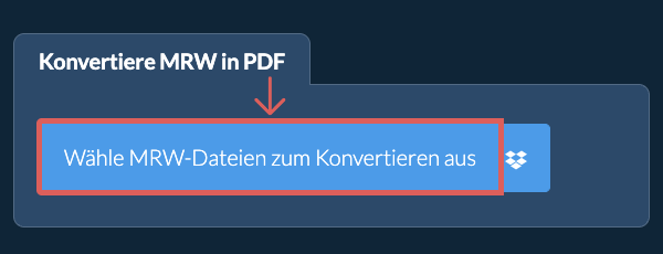 Konvertiere MRW in PDF