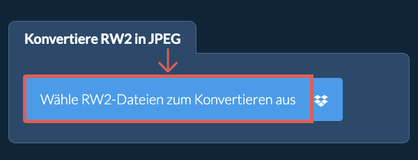 Konvertiere RW2 in JPEG