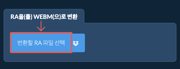 RA을(를) WEBM(으)로 변환
