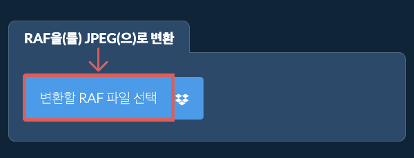 RAF을(를) JPEG(으)로 변환