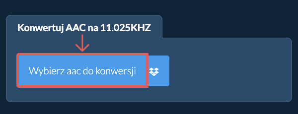 Wybierz aac do konwersji