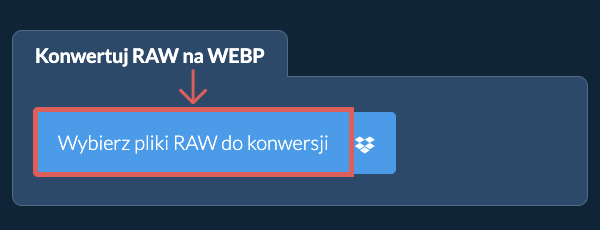 Konwertuj RAW na WEBP