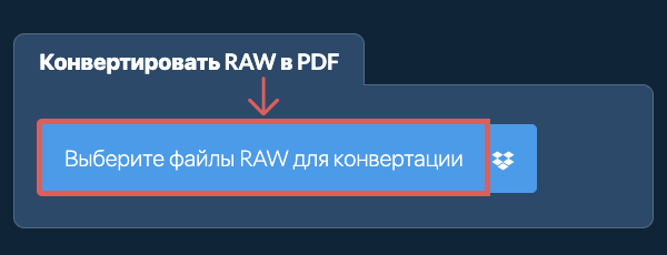 Конвертировать RAW в PDF