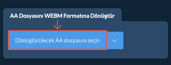 AA Dosyasını WEBM Formatına Dönüştür