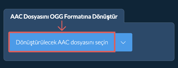 AAC Dosyasını OGG Formatına Dönüştür