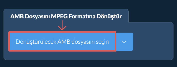 AMB Dosyasını MPEG Formatına Dönüştür