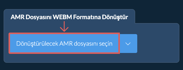 AMR Dosyasını WEBM Formatına Dönüştür