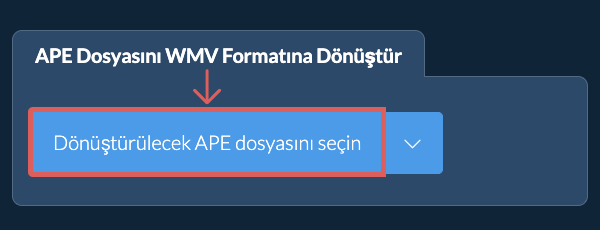 APE Dosyasını WMV Formatına Dönüştür
