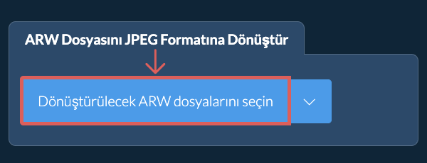 ARW Dosyasını JPEG Formatına Dönüştür