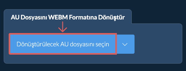 AU Dosyasını WEBM Formatına Dönüştür