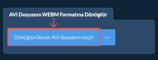 AVI Dosyasını WEBM Formatına Dönüştür