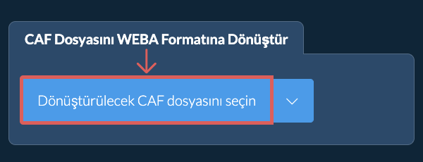 CAF Dosyasını WEBA Formatına Dönüştür
