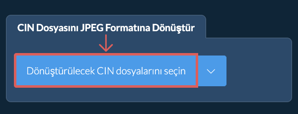 CIN Dosyasını JPEG Formatına Dönüştür