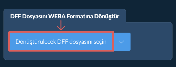 DFF Dosyasını WEBA Formatına Dönüştür