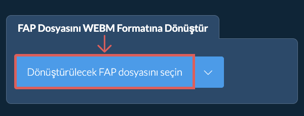 FAP Dosyasını WEBM Formatına Dönüştür