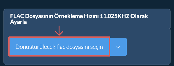 Dönüştürülecek flac dosyasını seçin