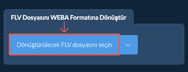 FLV Dosyasını WEBA Formatına Dönüştür