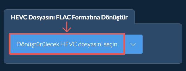 HEVC Dosyasını FLAC Formatına Dönüştür